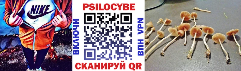 где можно купить Белогорск кракен рабочий сайт Псилоцибиновые грибы MAGIC MUSHROOMS